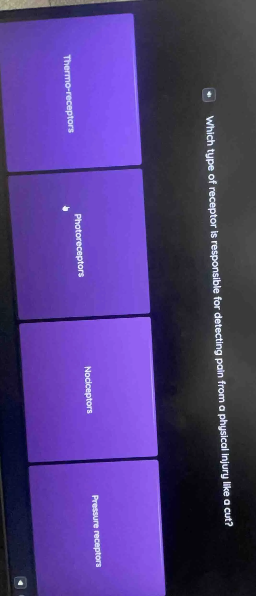 which type of receptor is responsible for detecting pain from a physica…