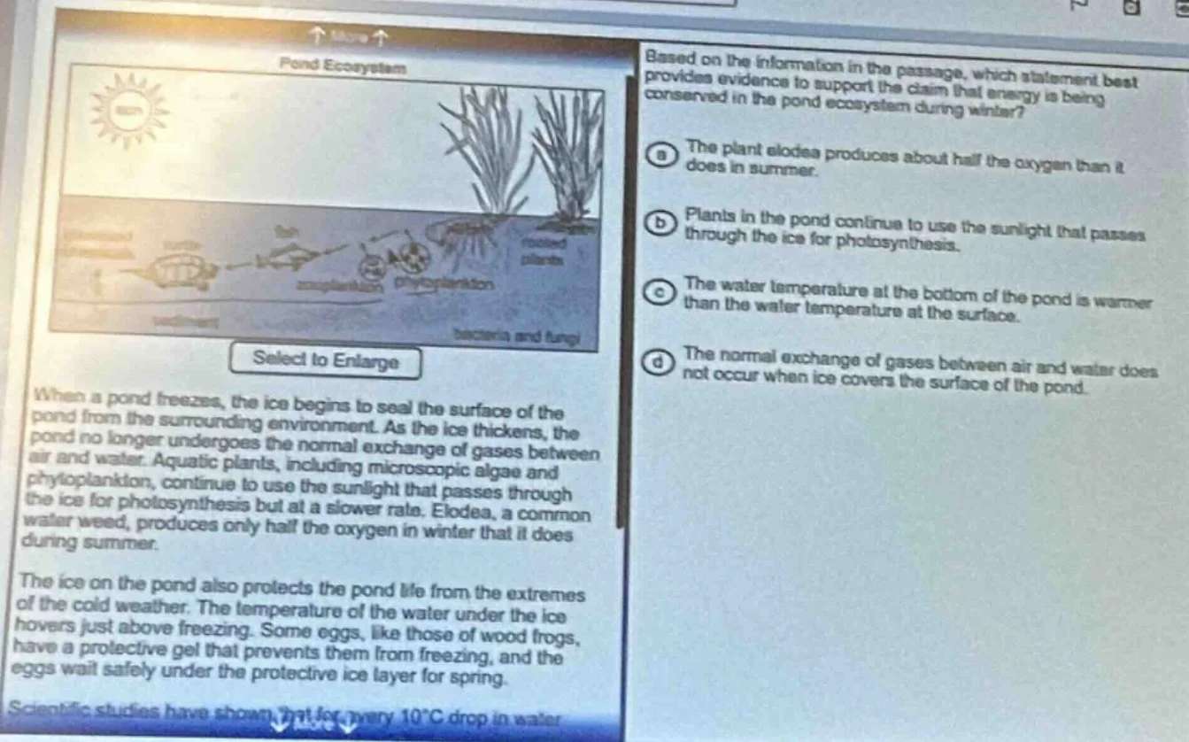 pond ecosystem select to enlarge when a pond freezes, the ice begins to…