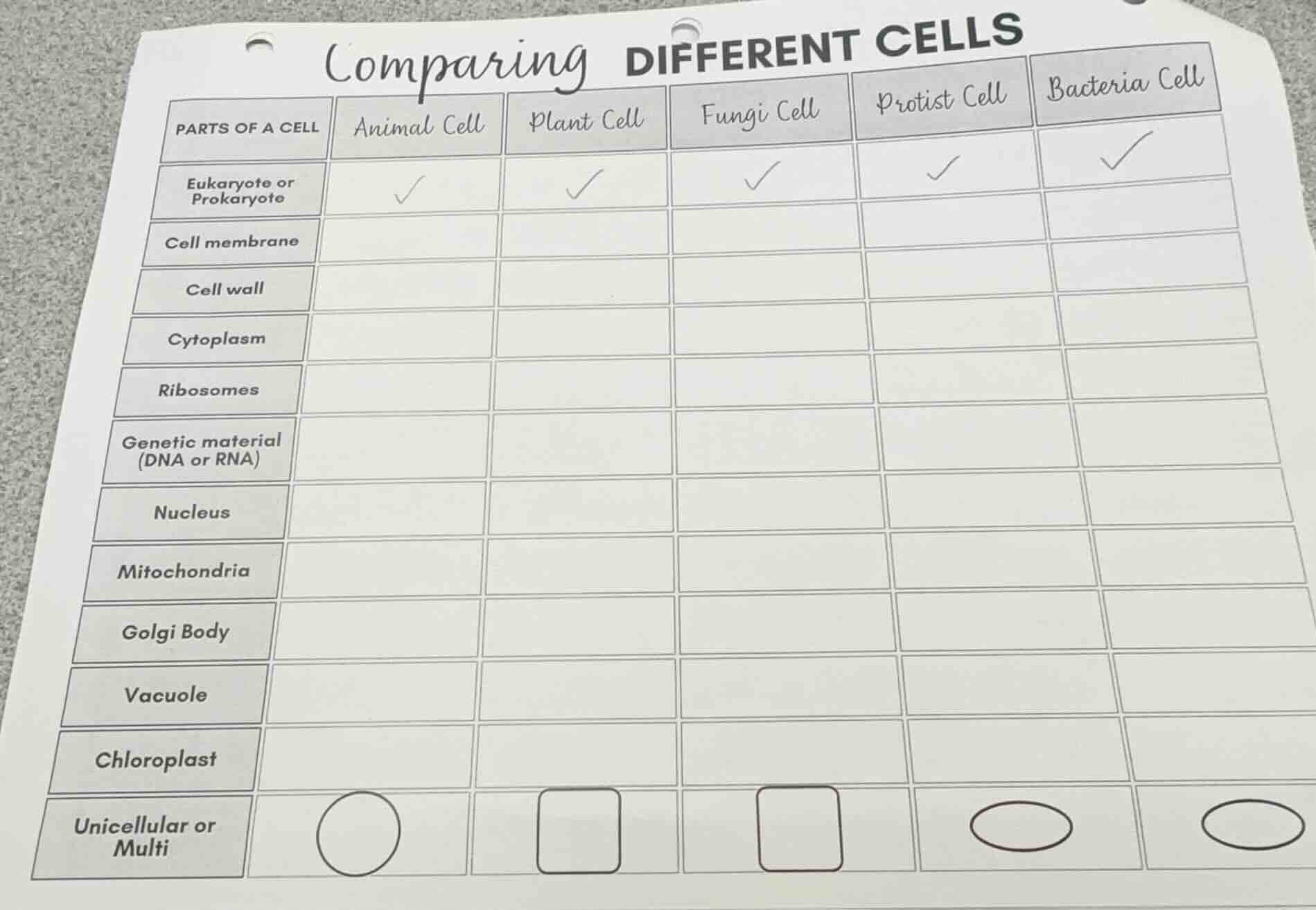 comparing different cells parts of a cell\tanimal cell\tplant cell\tfun…