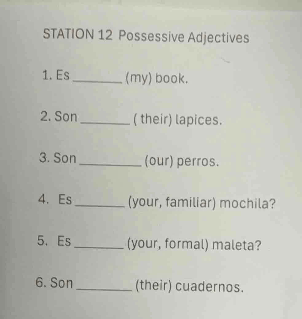 station 12 possessive adjectives 1. es ________ (my) book. 2. son _____…