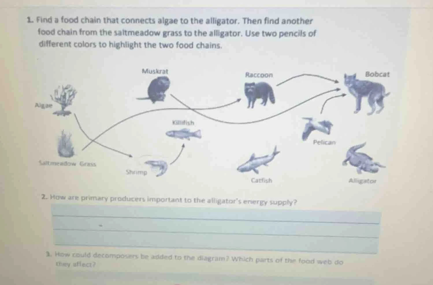 1. find a food chain that connects algae to the alligator. then find an…