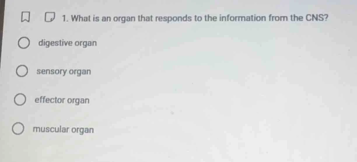 1. what is an organ that responds to the information from the cns? dige…