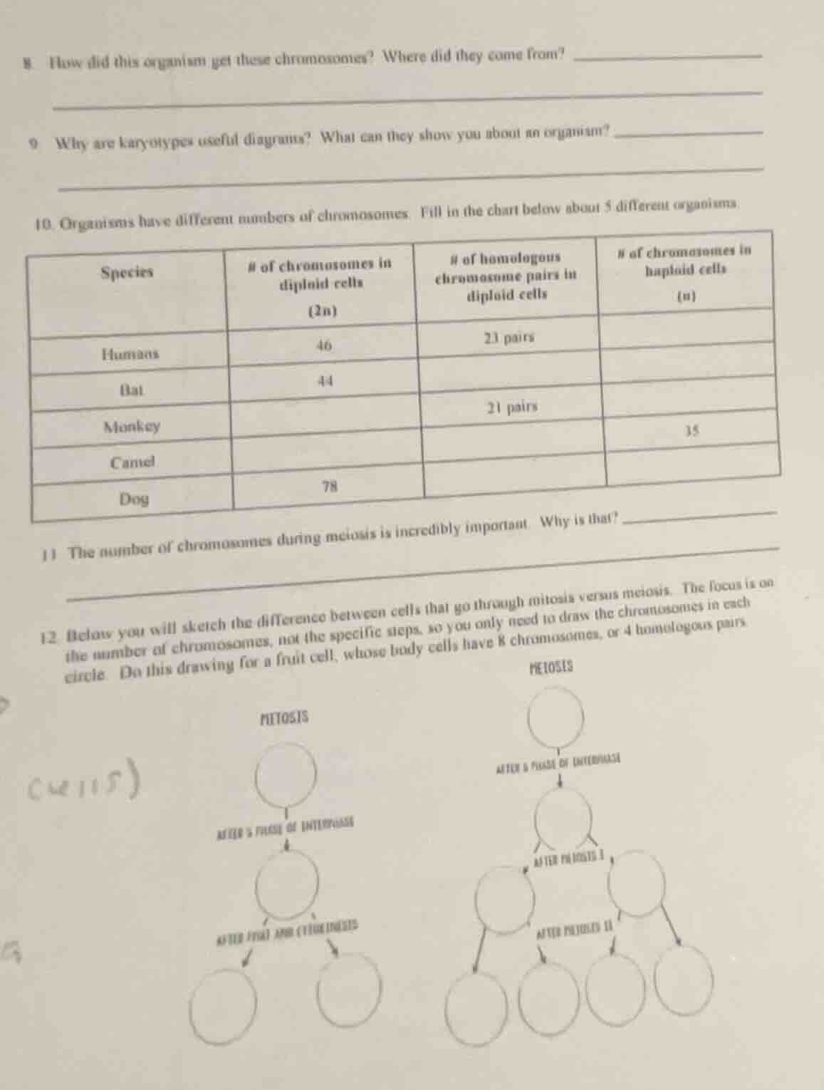 8. how did this organism get these chromosomes? where did they come fro…