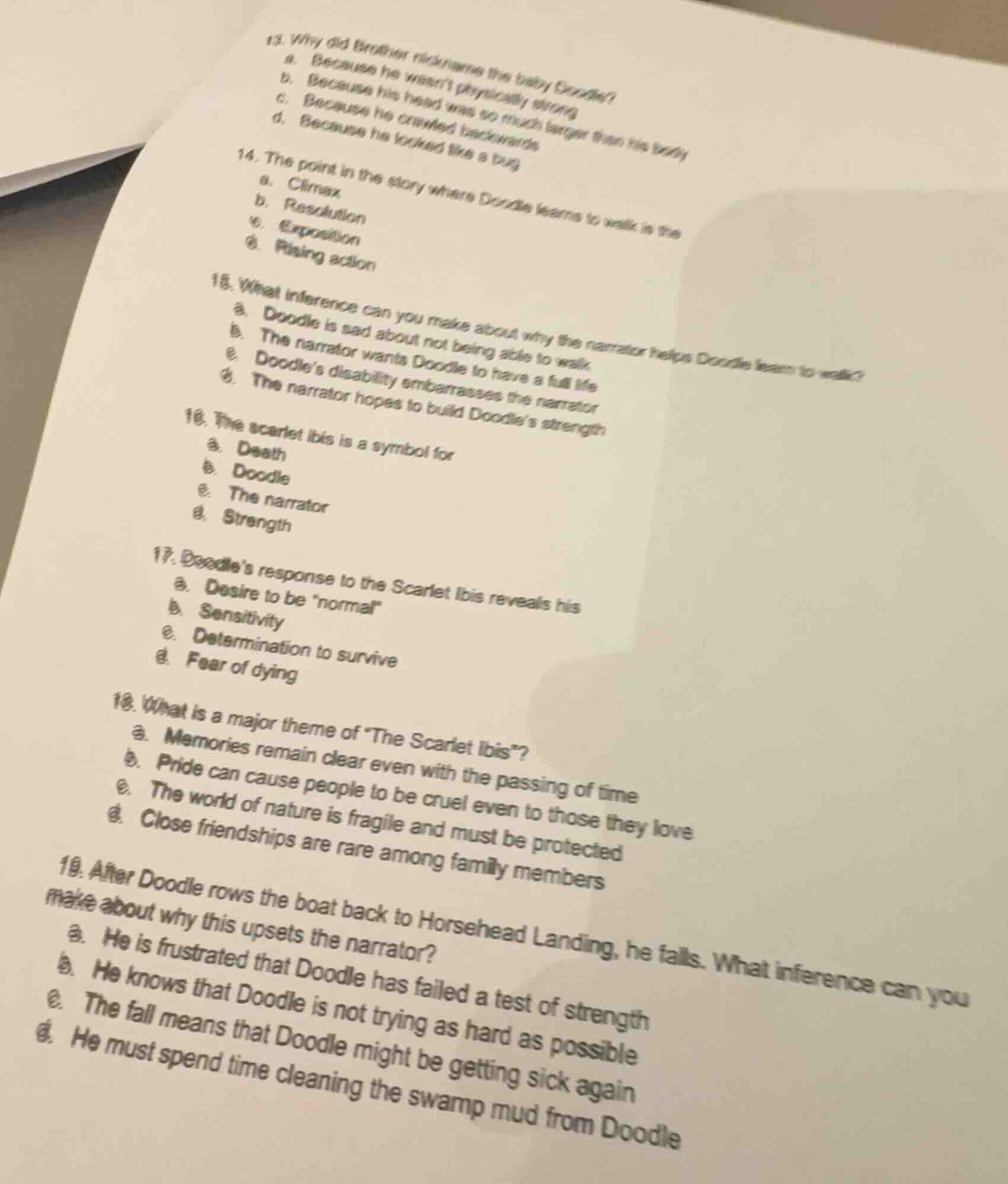 13. why did brother nickname the baby doodle?a. because he wasnt physic…