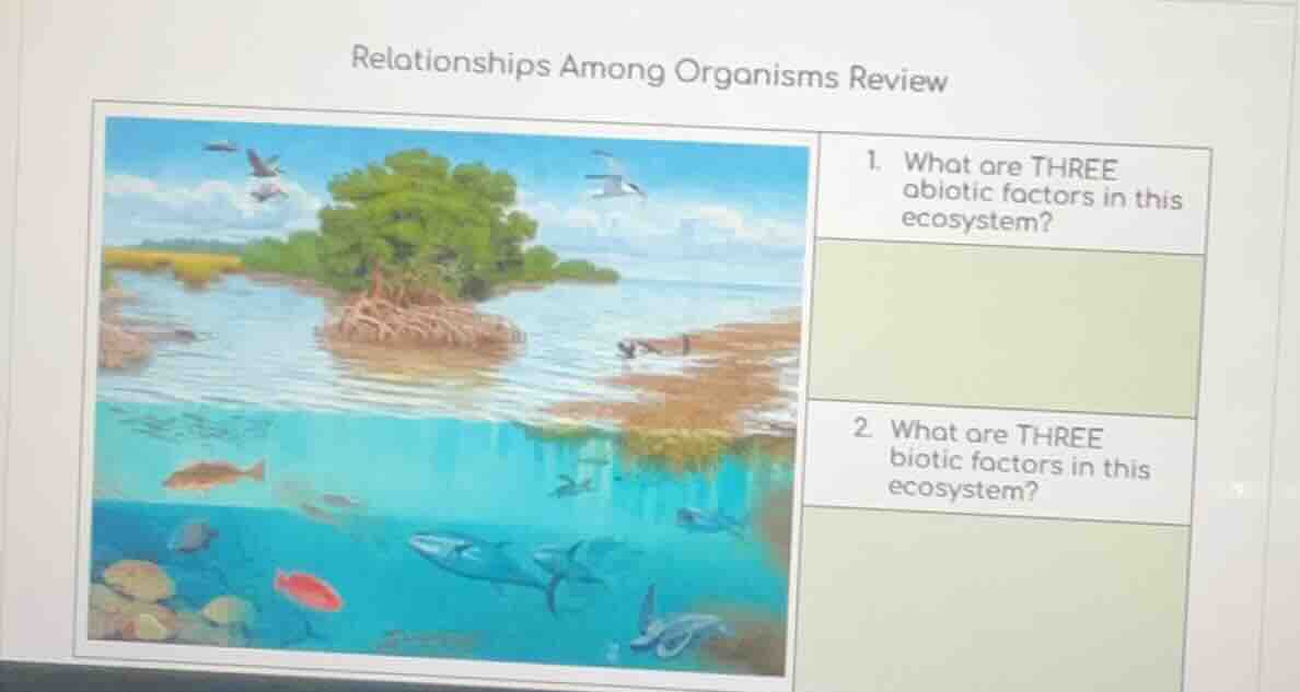 relationships among organisms review 1. what are three abiotic factors …