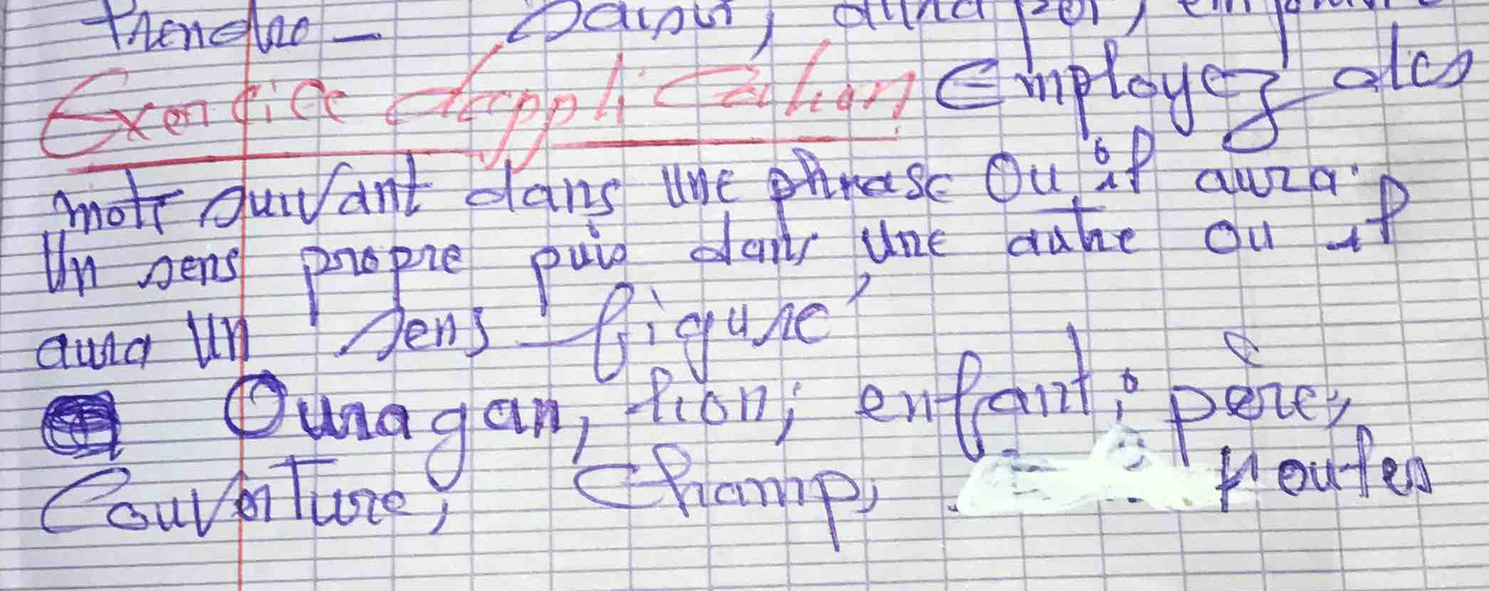 exercice dapplication mots suivant dans une phrase où il aura un sens p…