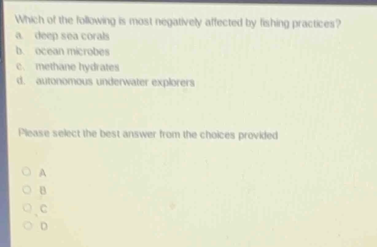 which of the following is most negatively affected by fishing practices…