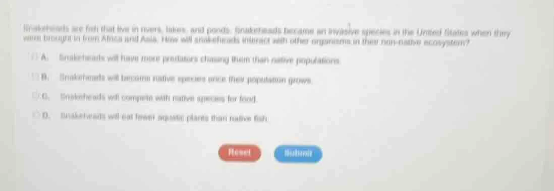 snakeheads are fish that live in rivers, lakes, and ponds. snakeheads b…