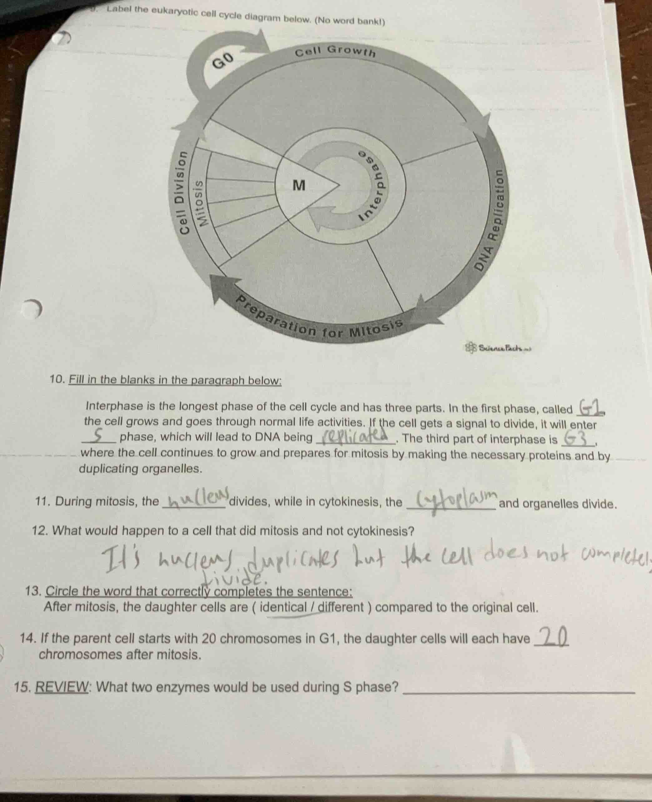 label the eukaryotic cell cycle diagram below. (no word bank!)10. fill …