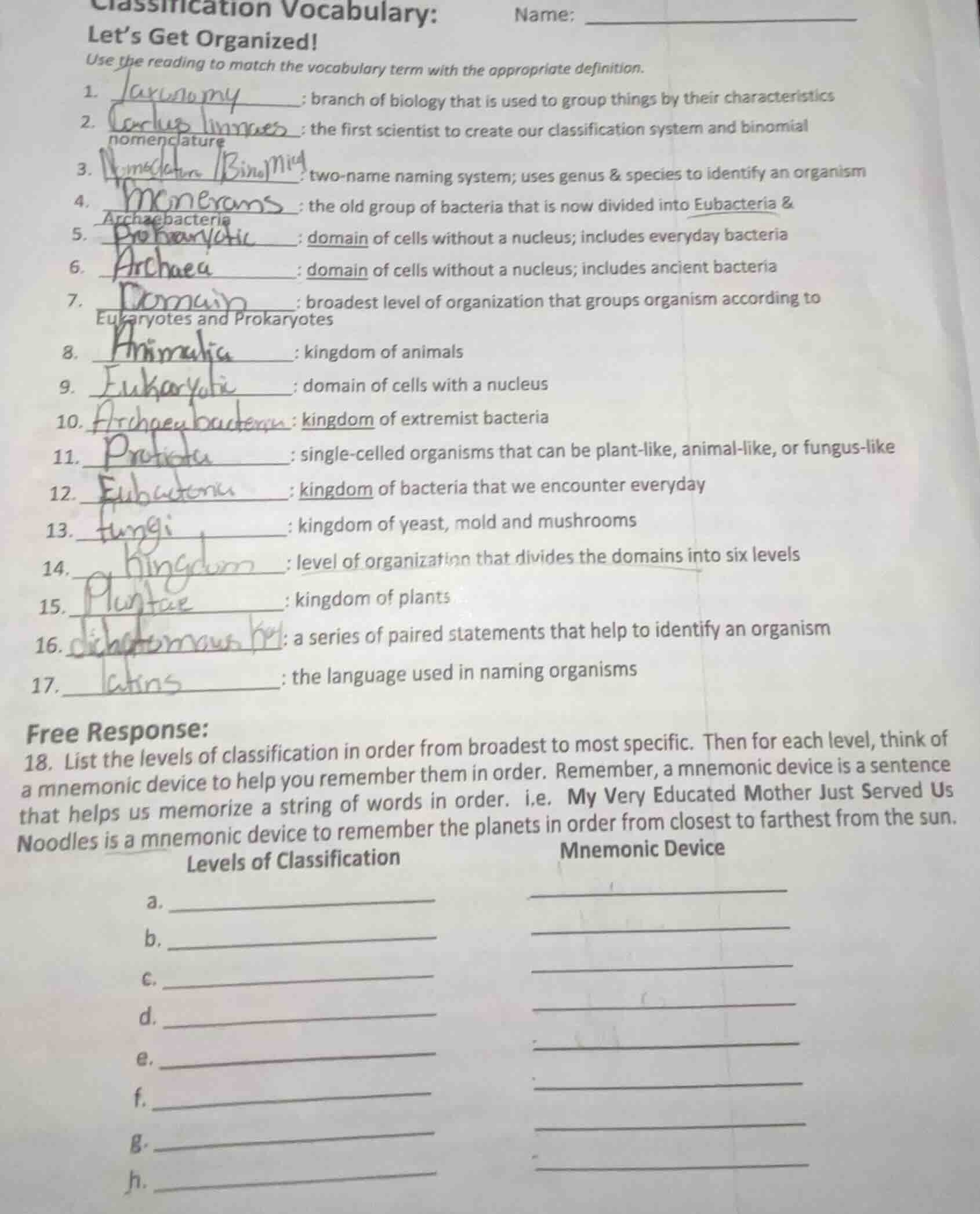 classification vocabulary:name:lets get organized!use the reading to ma…