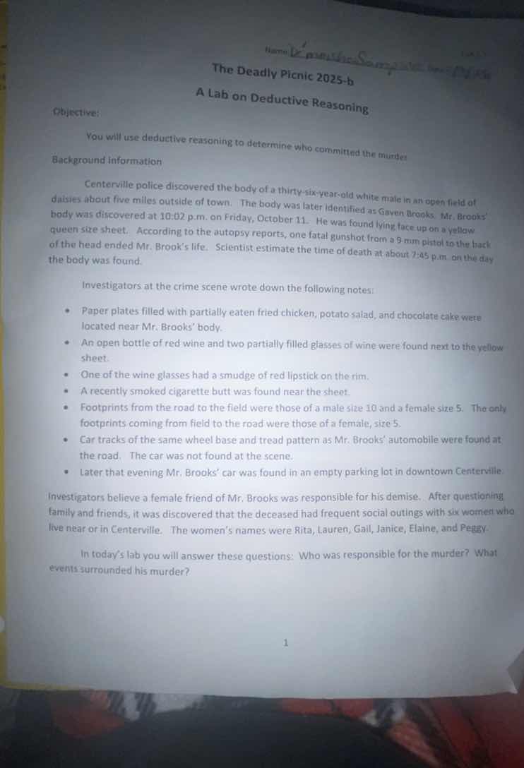 namethe deadly picnic 2025-ba lab on deductive reasoningobjective:you w…