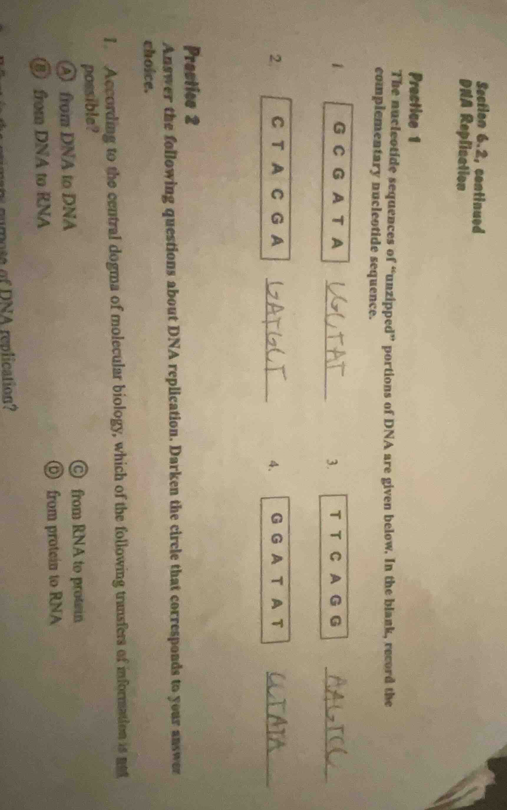 section 6.2, continueddna replicationpractice 1the nucleotide sequences…