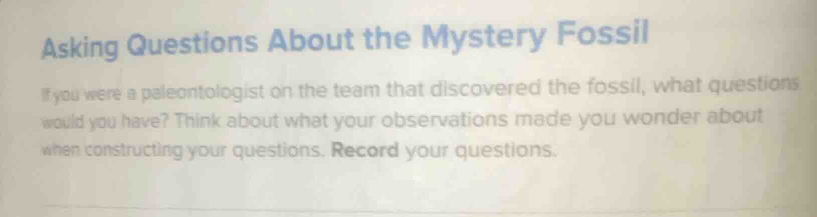asking questions about the mystery fossil if you were a paleontologist …