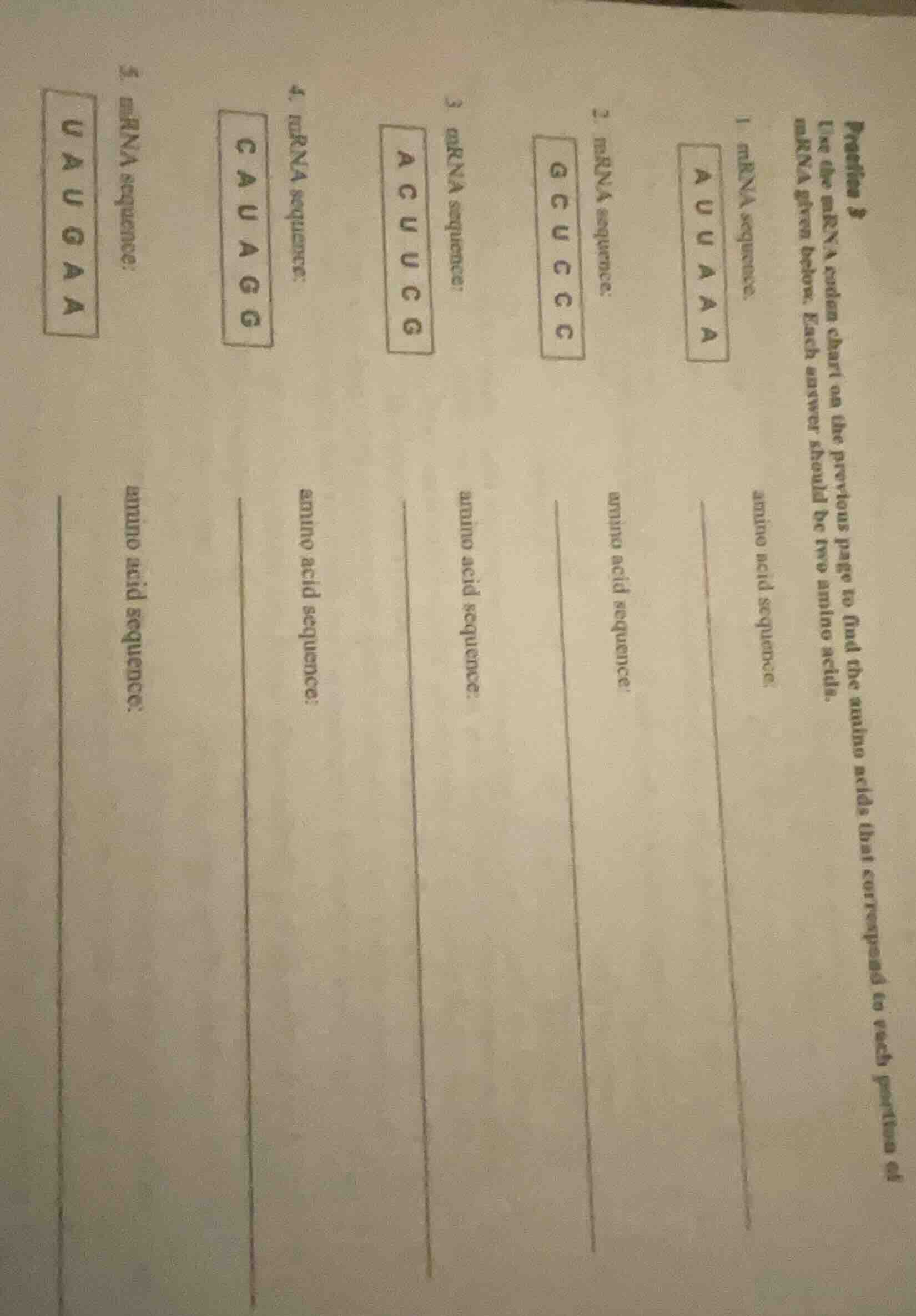 practice 3 use the mrna codon chart on the previous page to find the am…