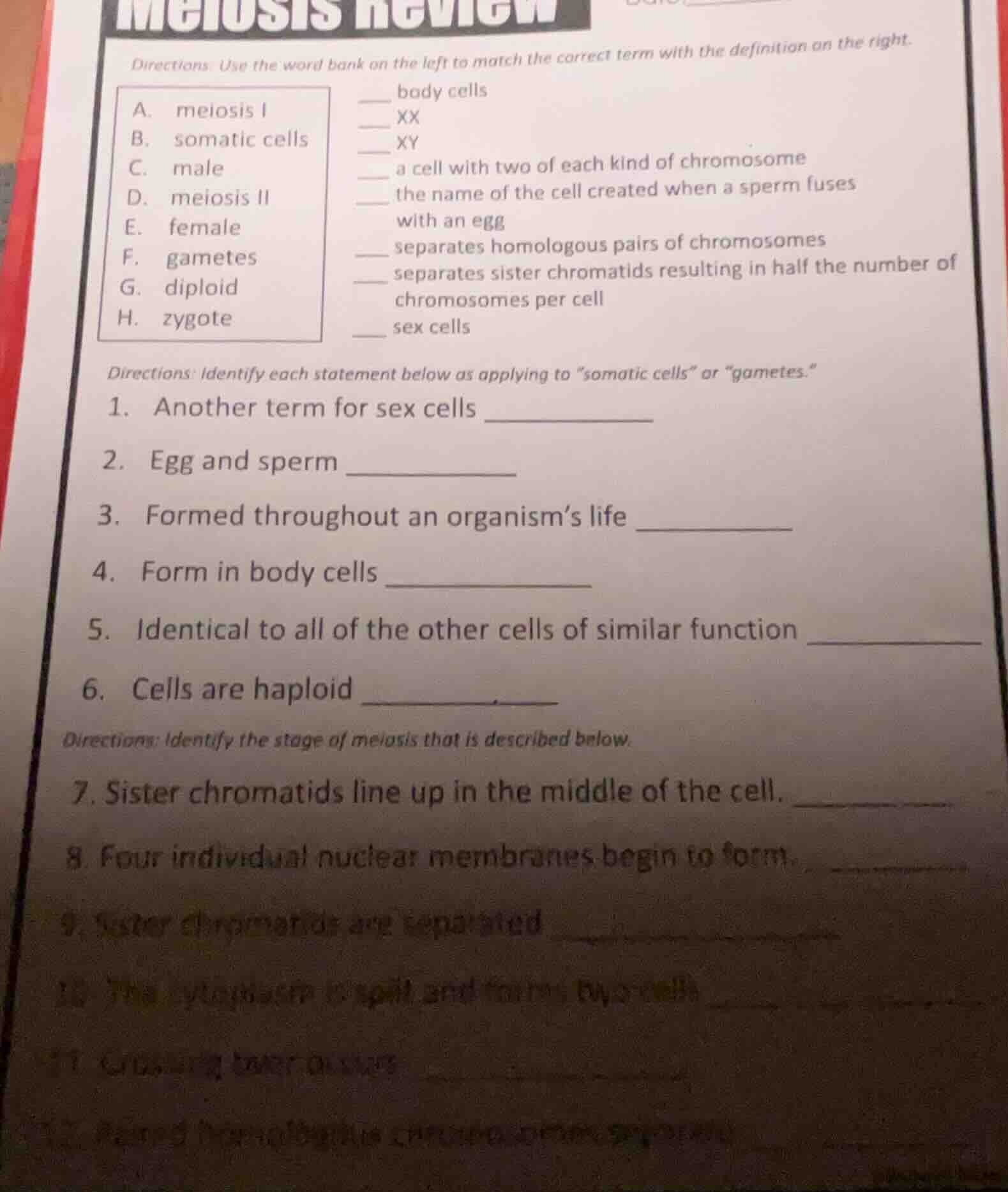 meiosis review directions: use the word bank on the left to match the c…