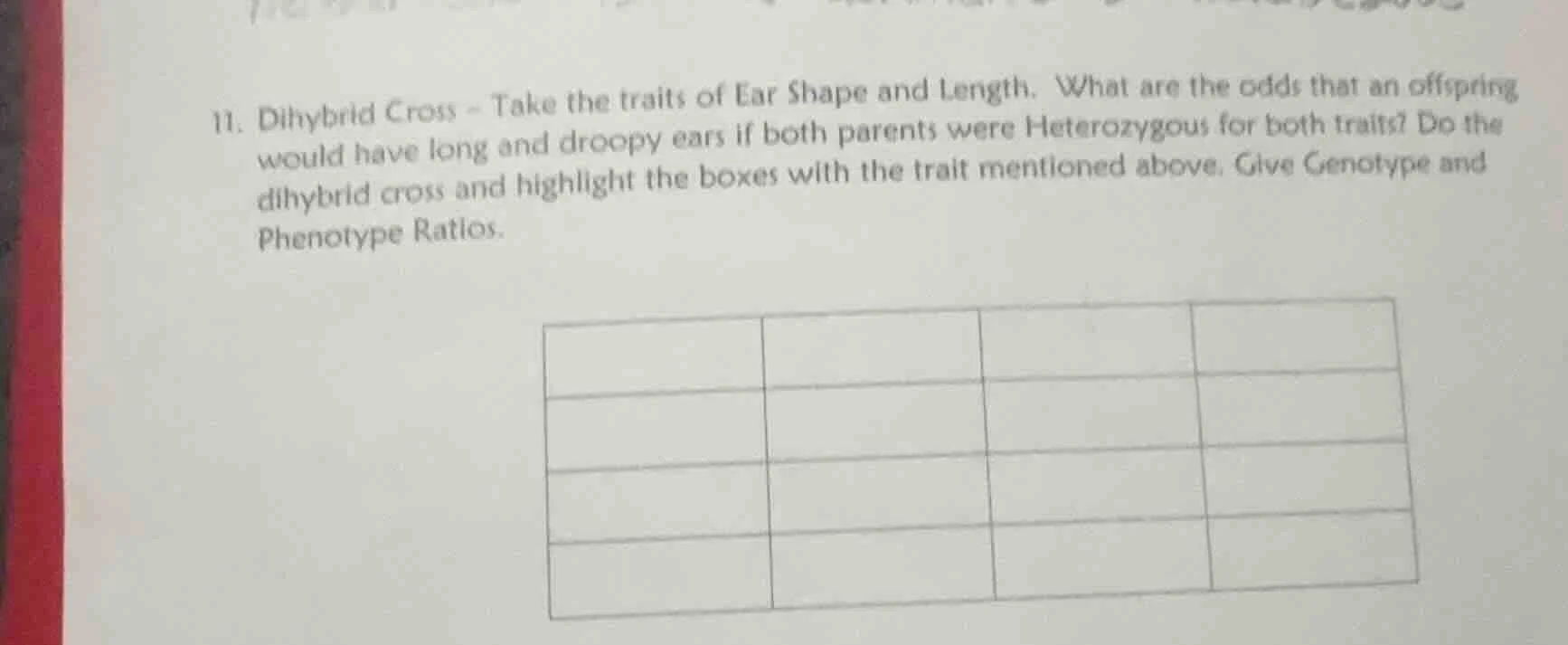 11. dihybrid cross - take the traits of ear shape and length. what are …