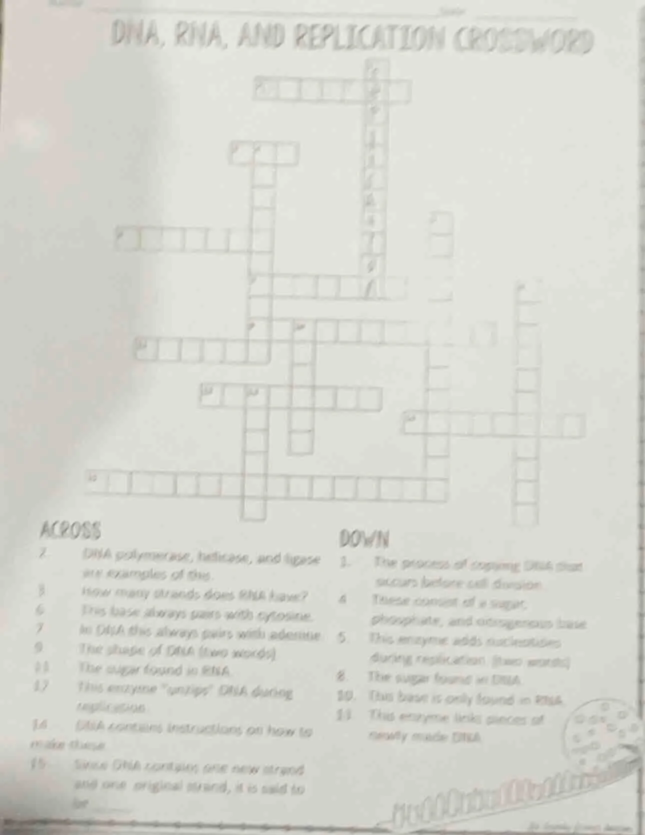dna, rna, and replication crossword across 2. dna polymerase, helicase,…