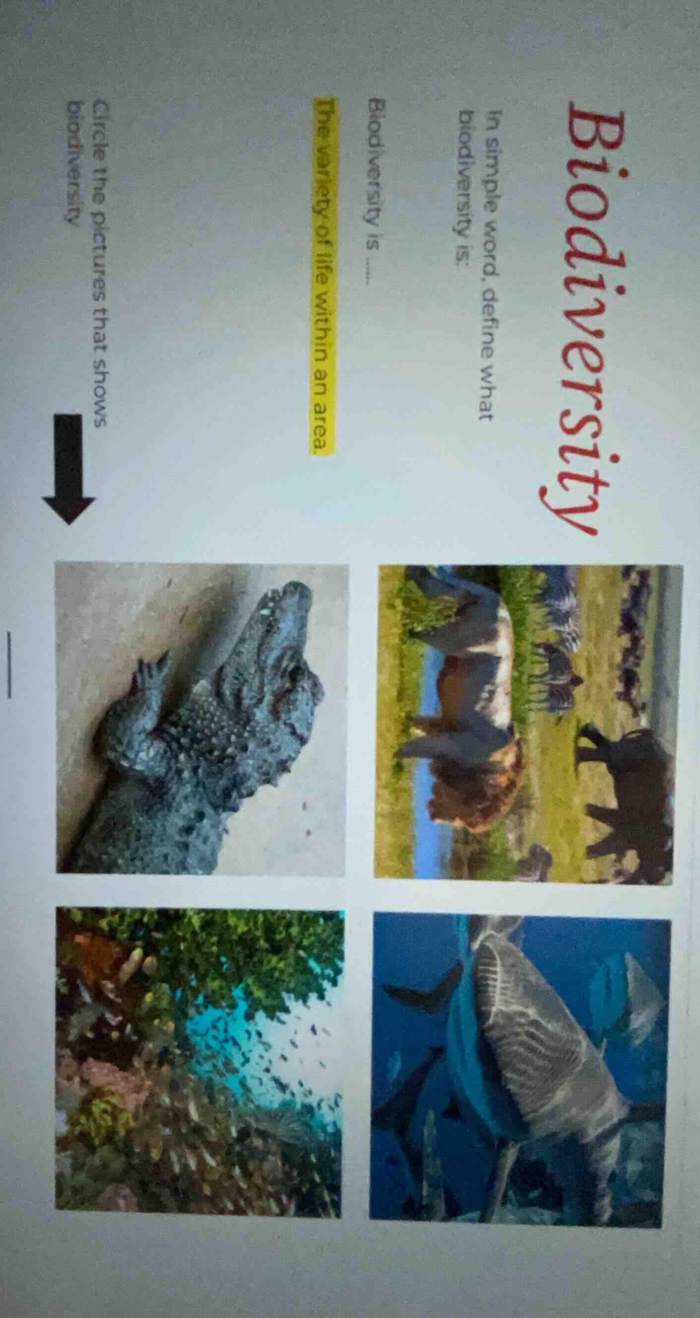 biodiversity in simple word, define what biodiversity is: biodiversity …