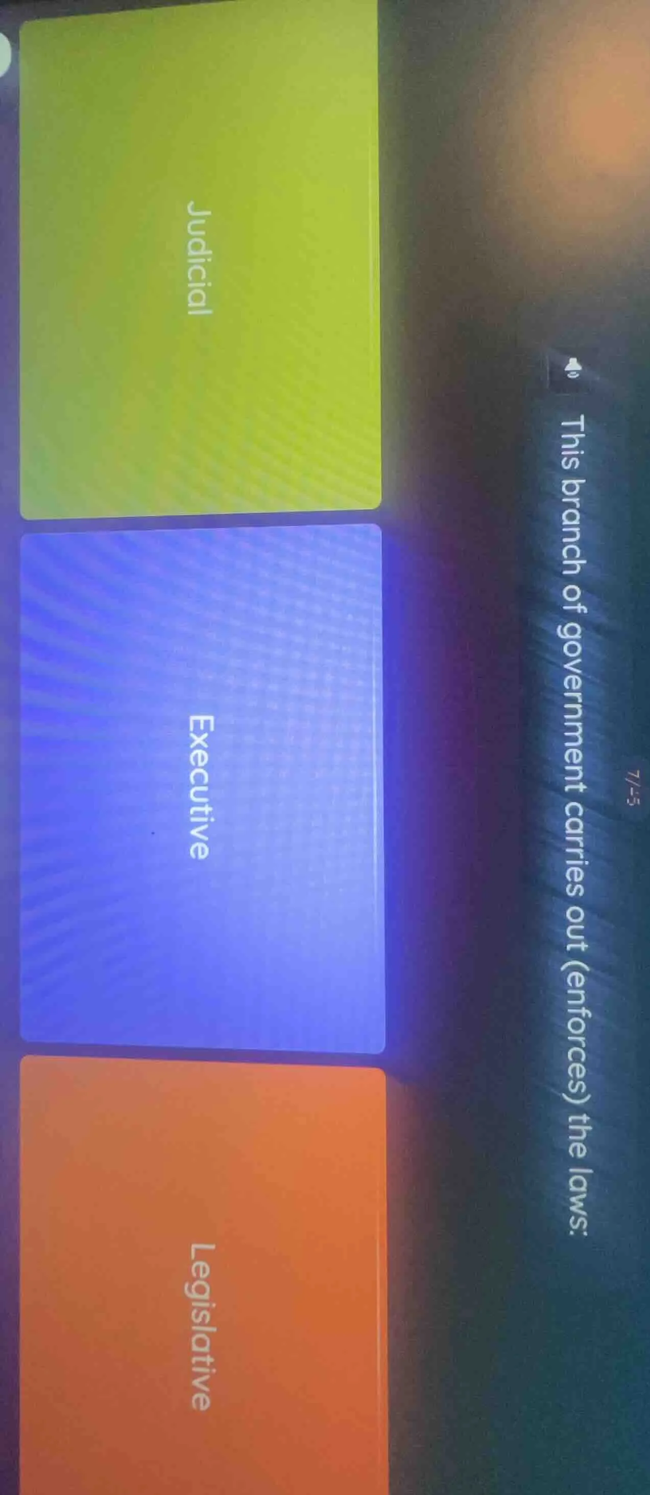 this branch of government carries out (enforces) the laws: judicial exe…