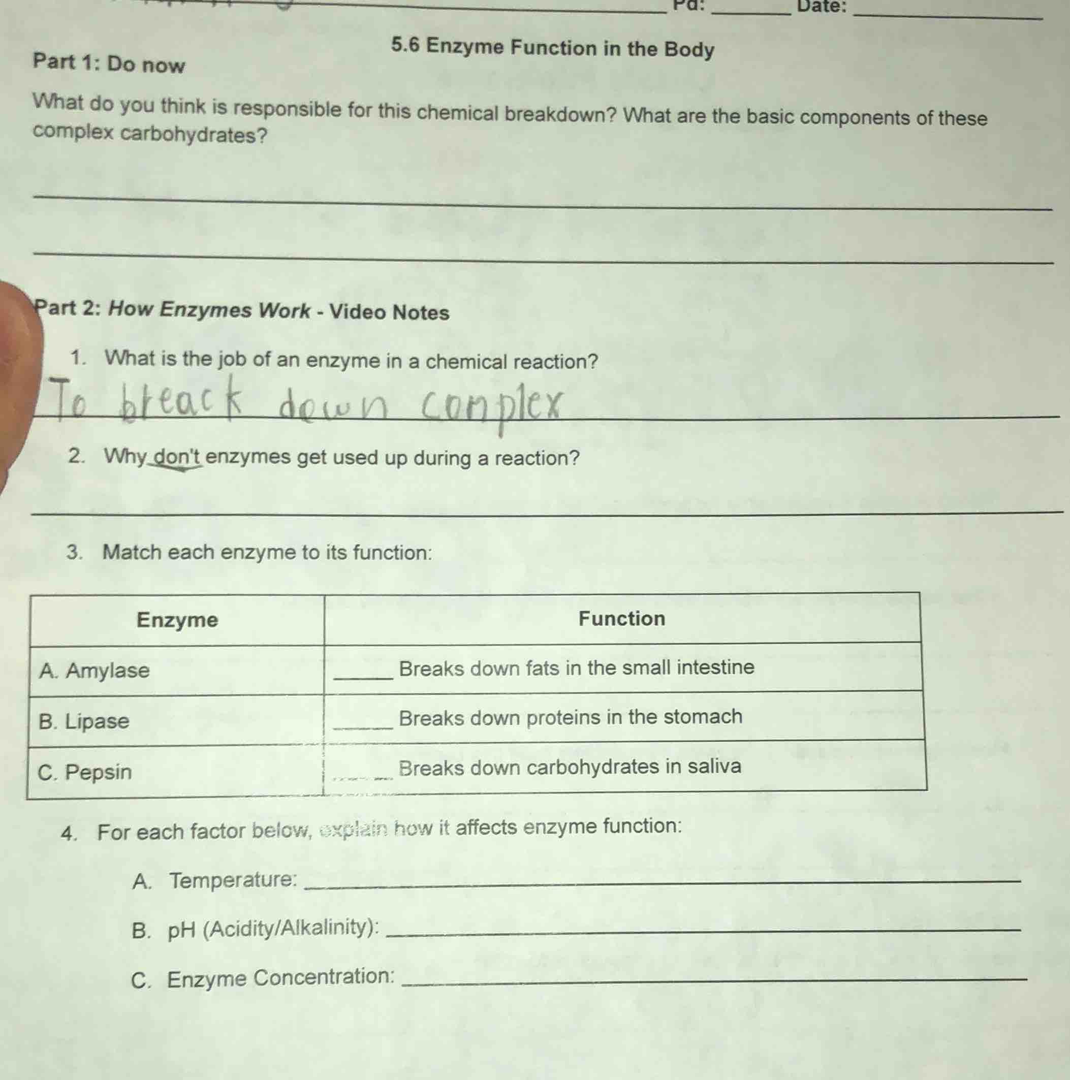 pd: ______ date: ______5.6 enzyme function in the bodypart 1: do nowwha…