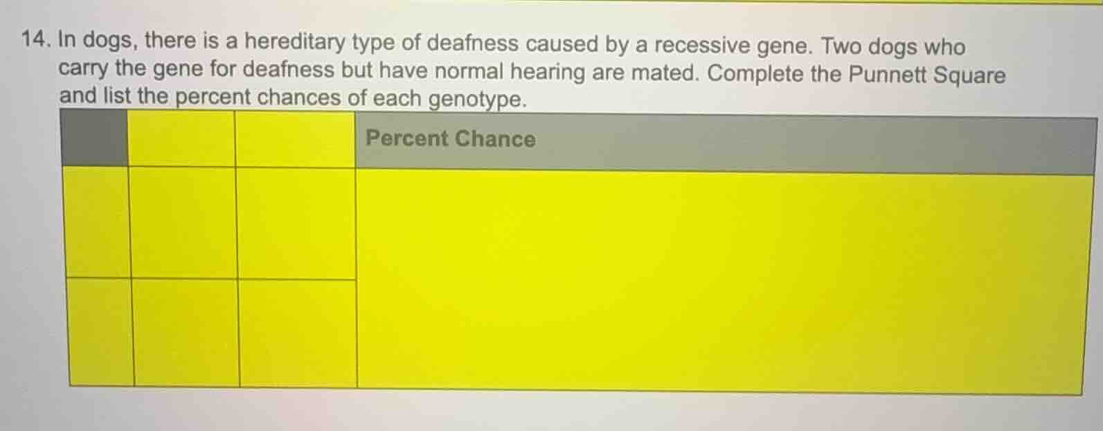 14. in dogs, there is a hereditary type of deafness caused by a recessi…