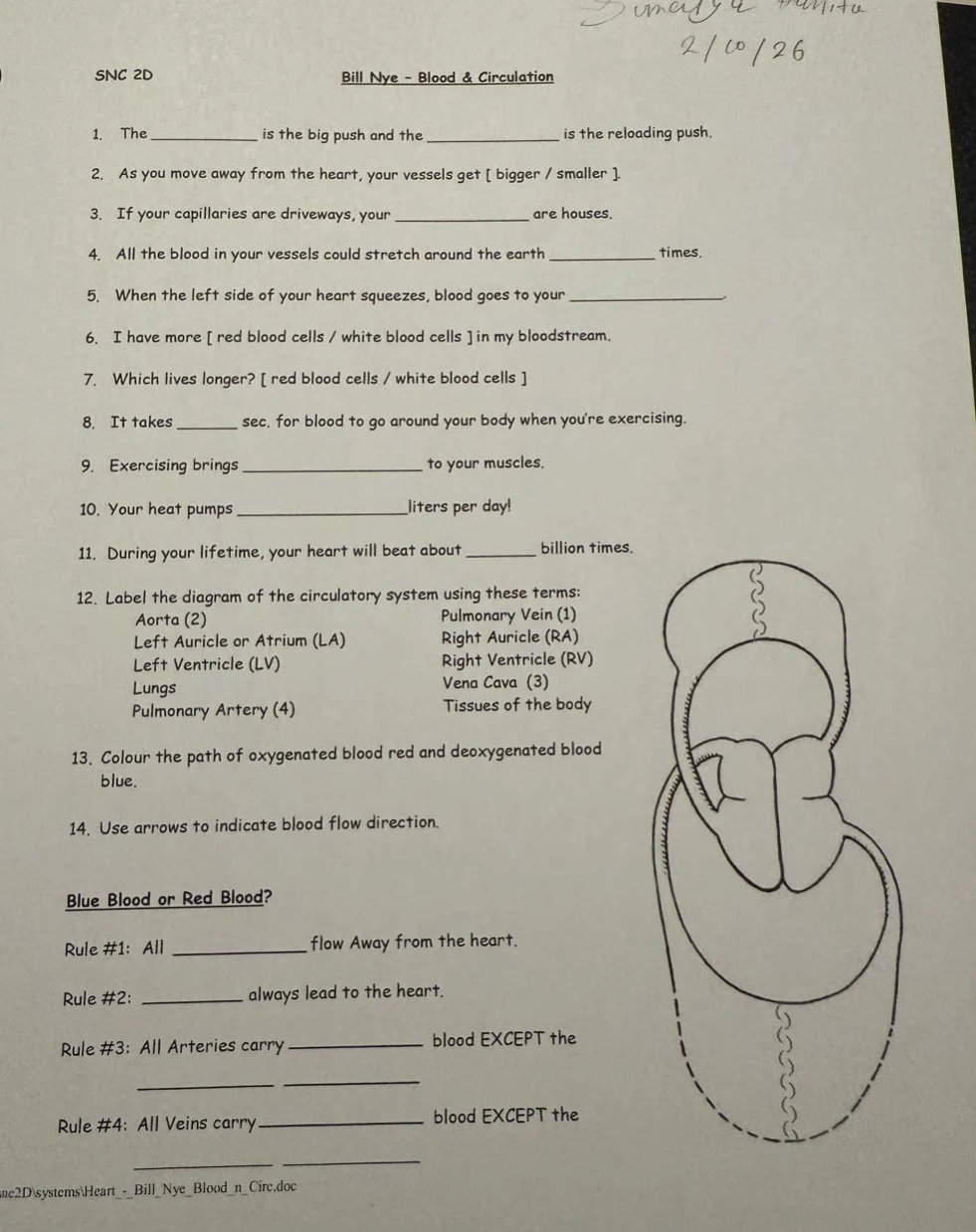 snc 2d bill nye - blood & circulation 1. the ____________ is the big pu…