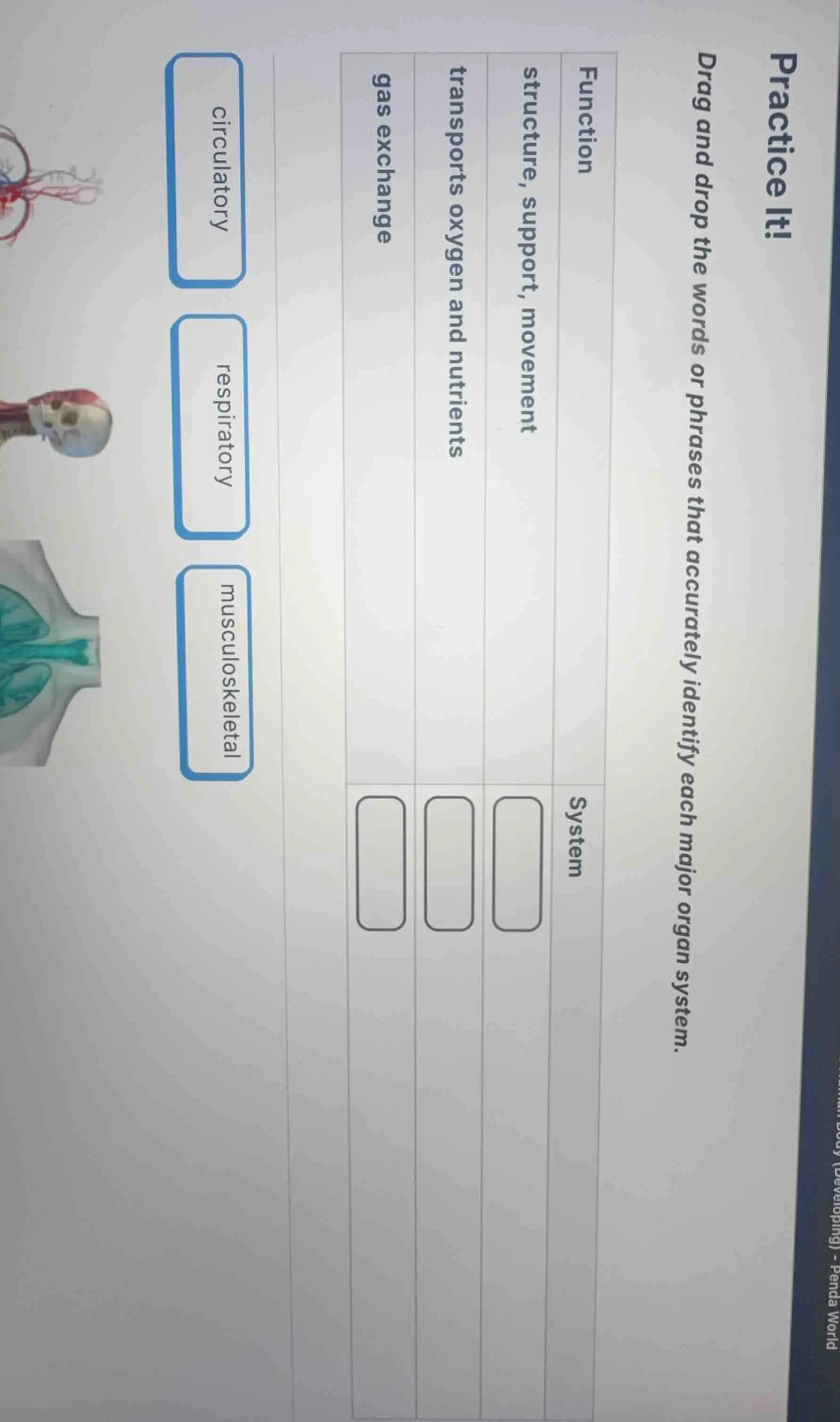 practice it! drag and drop the words or phrases that accurately identif…