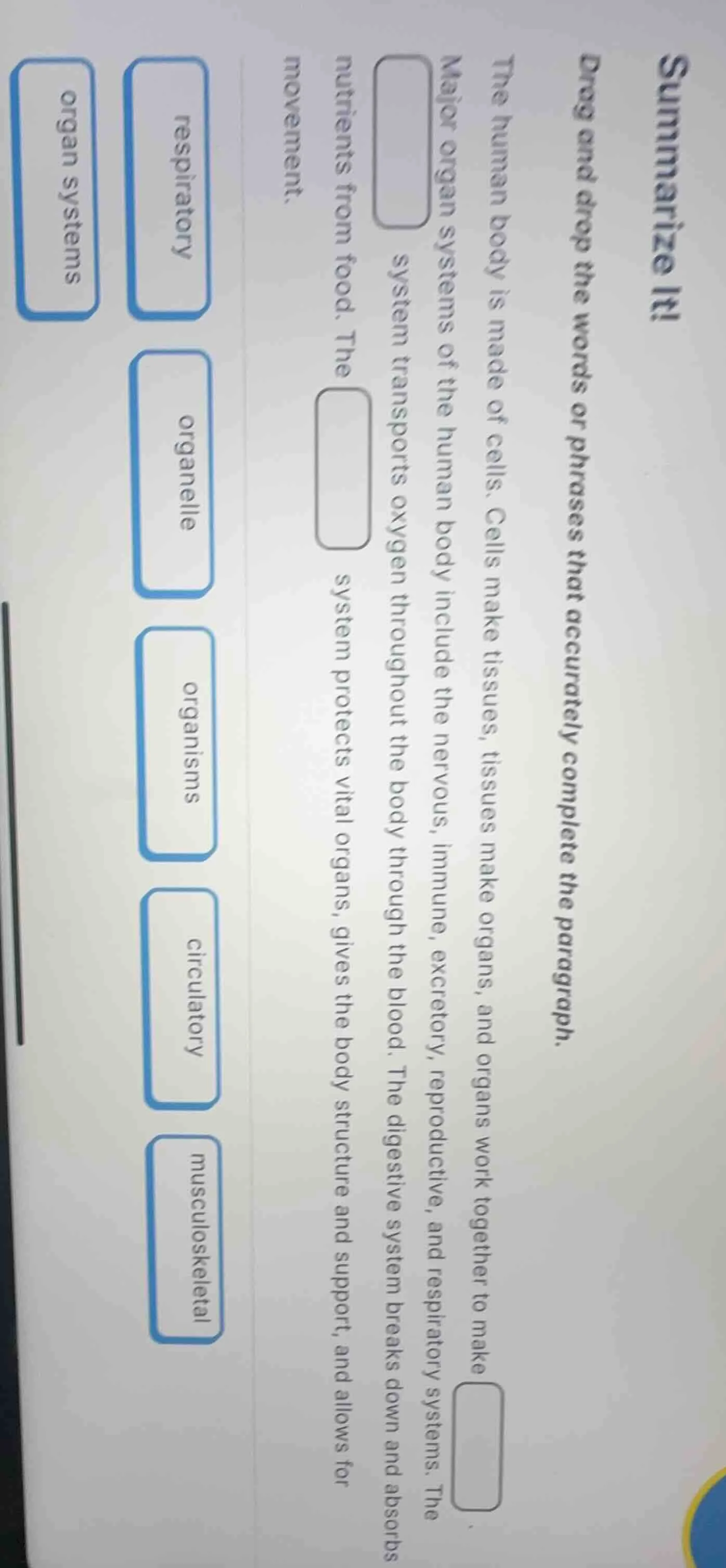 summarize it! drag and drop the words or phrases that accurately comple…