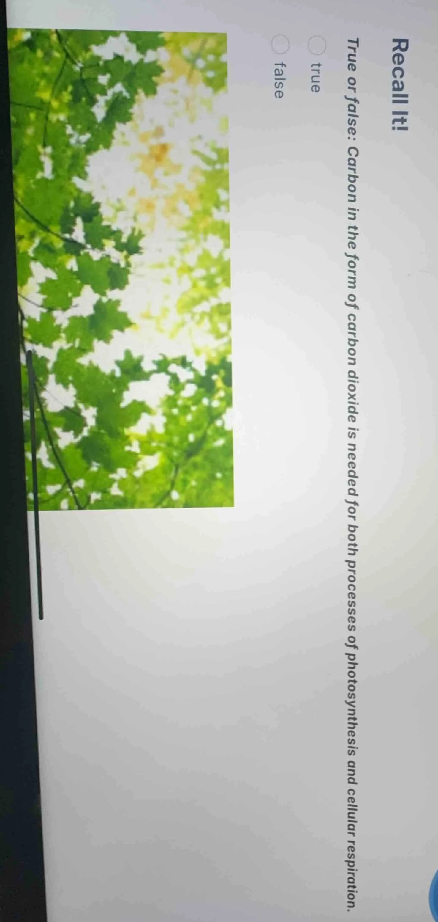 recall it! true or false: carbon in the form of carbon dioxide is neede…