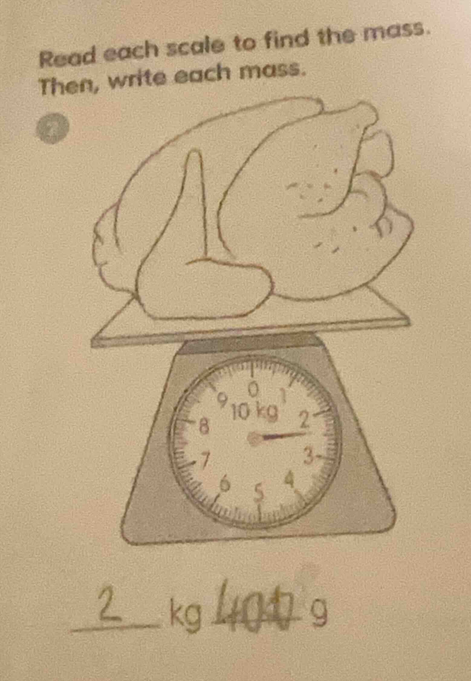 read each scale to find the mass. then, write each mass. 2 ____ kg ____…