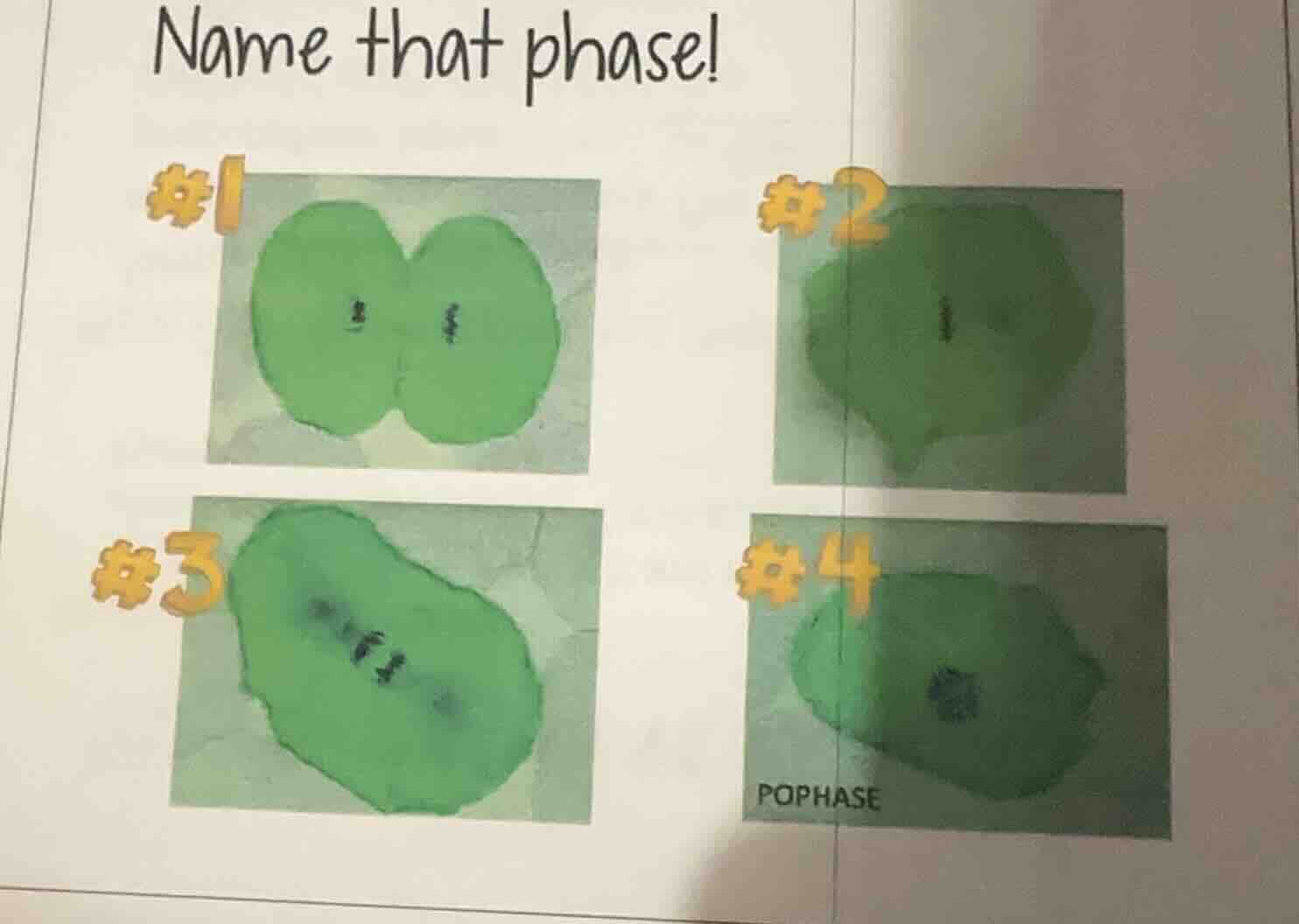 name that phase! #1 #2 #3 #4 pophase