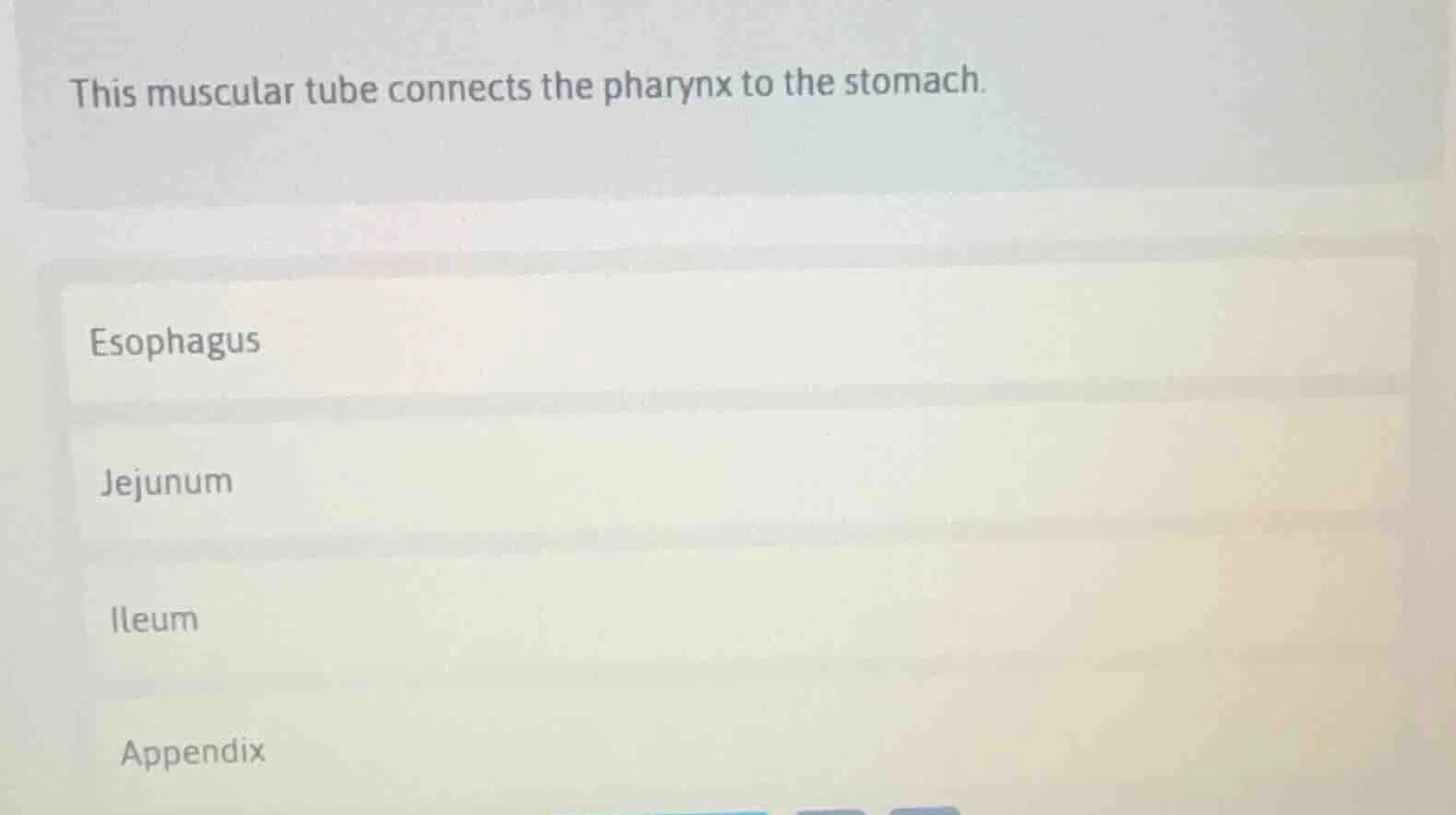 this muscular tube connects the pharynx to the stomach. esophagus jejun…