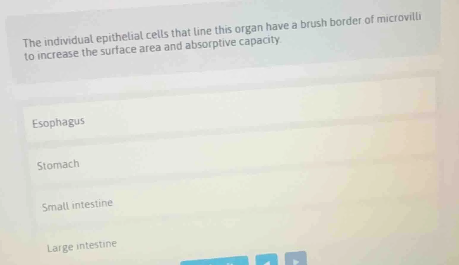 the individual epithelial cells that line this organ have a brush borde…