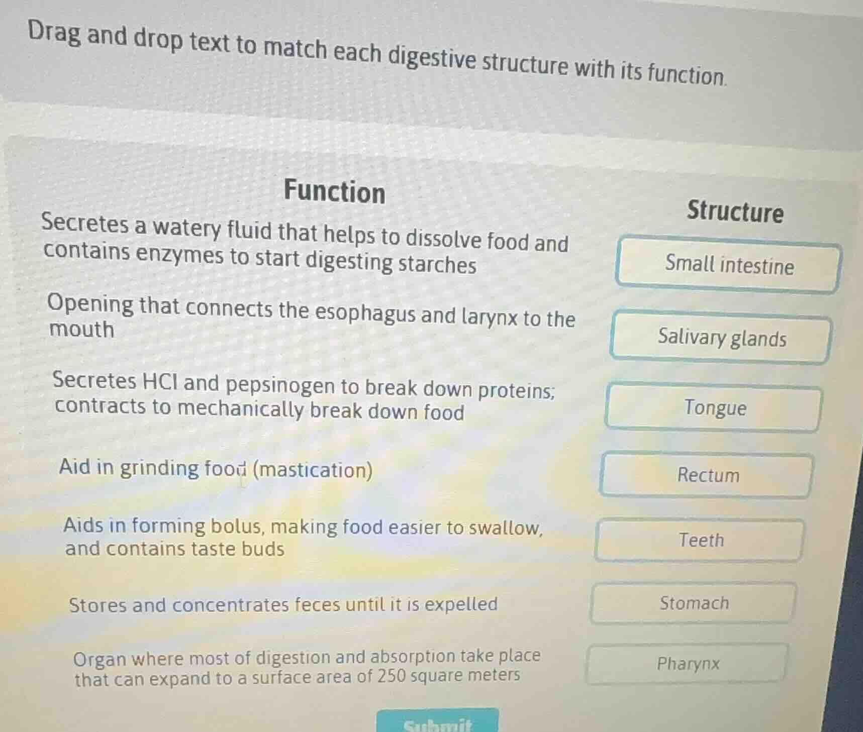 drag and drop text to match each digestive structure with its function.…