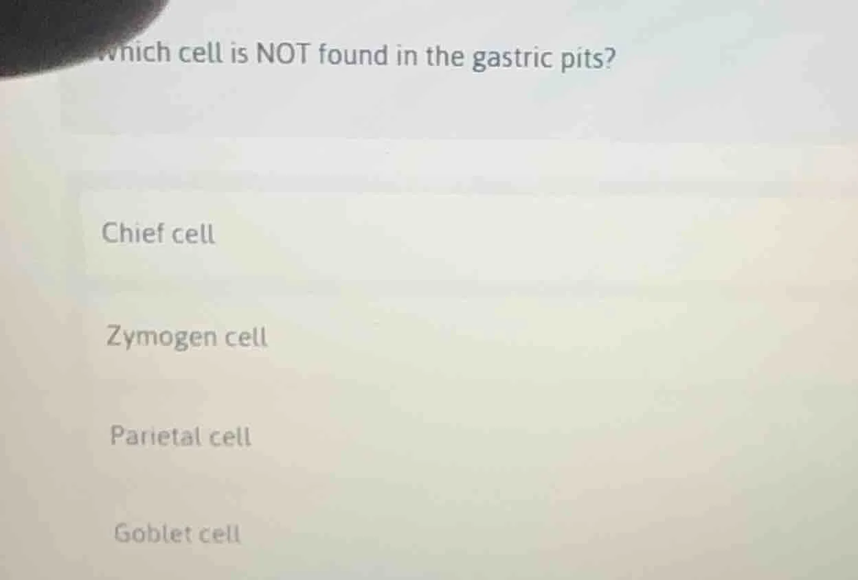 which cell is not found in the gastric pits? chief cell zymogen cell pa…