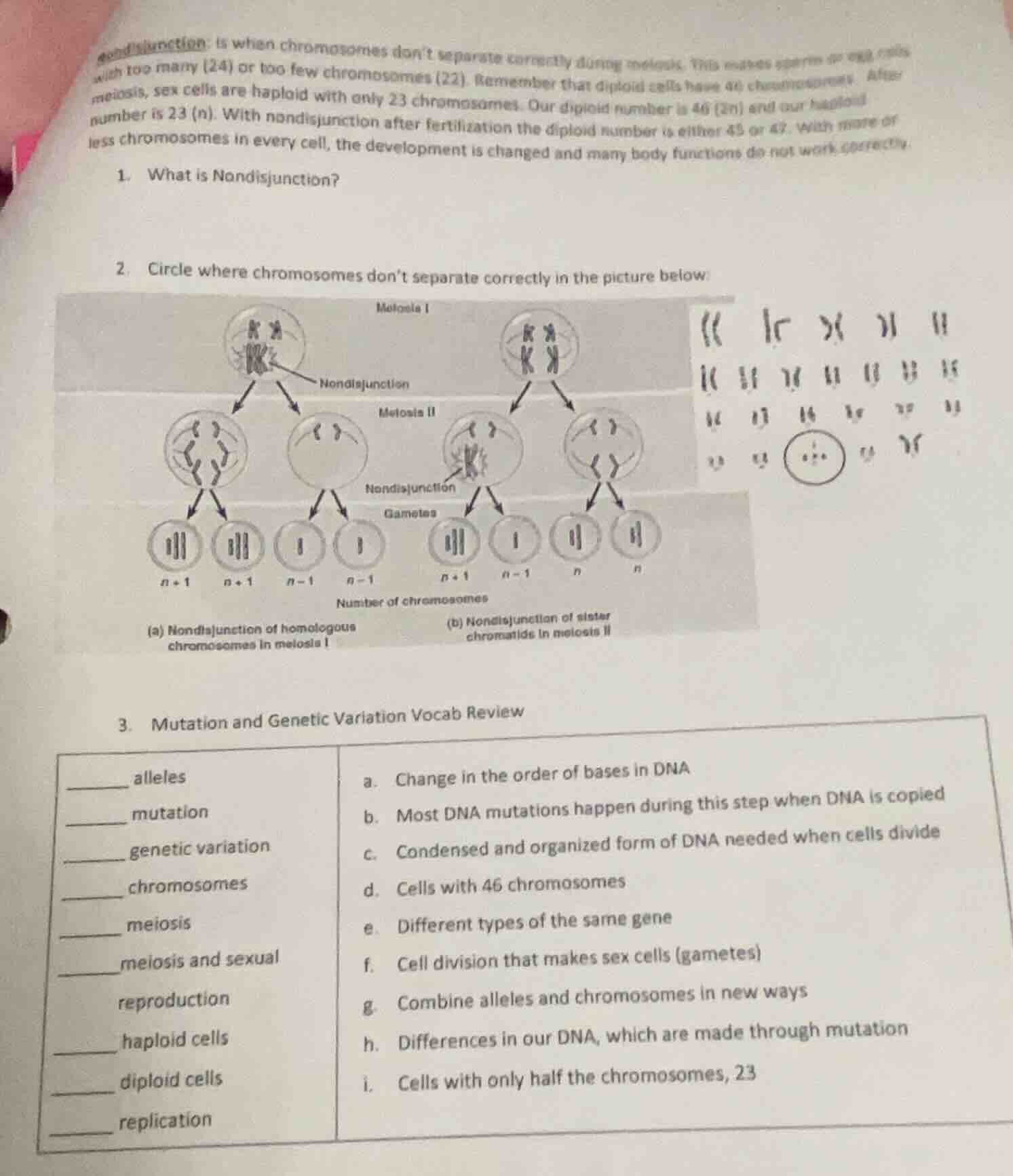 nondisjunction: is when chromosomes dont separate correctly during meio…