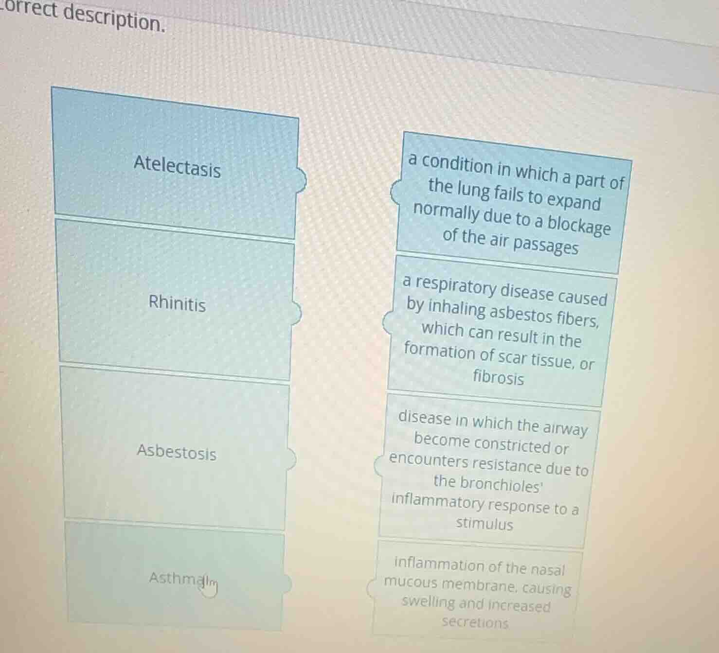 orrect description. atelectasis rhinitis asbestosis asthma a condition …
