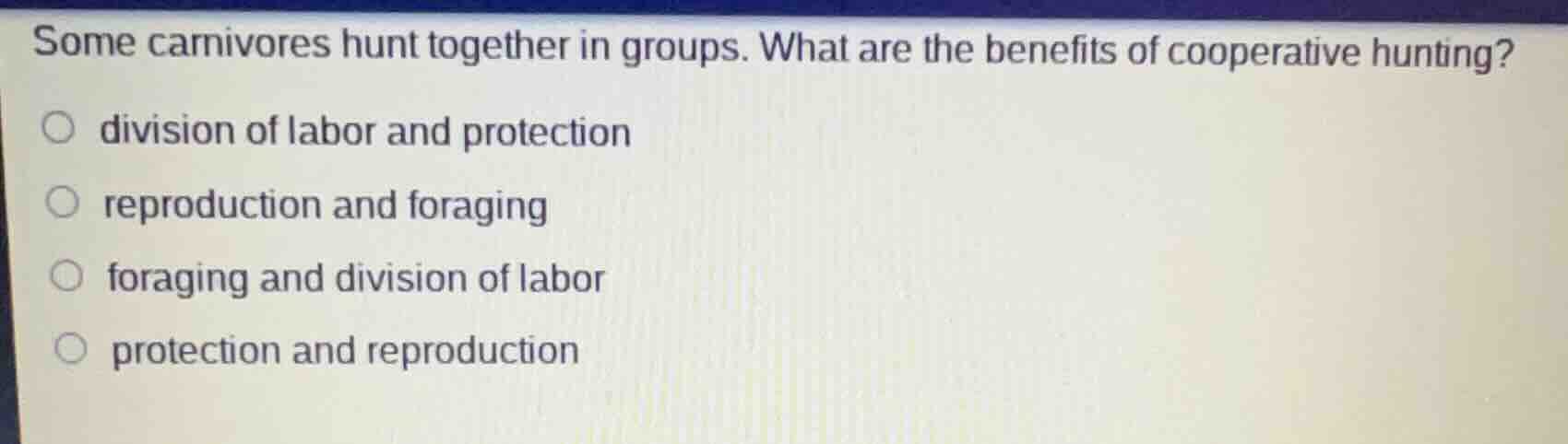 some carnivores hunt together in groups. what are the benefits of coope…