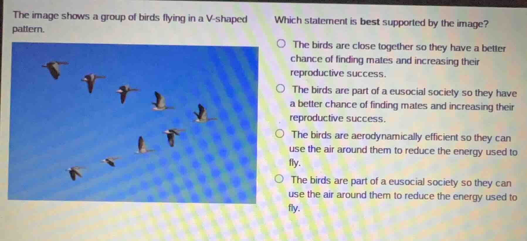 the image shows a group of birds flying in a v-shaped pattern. which st…
