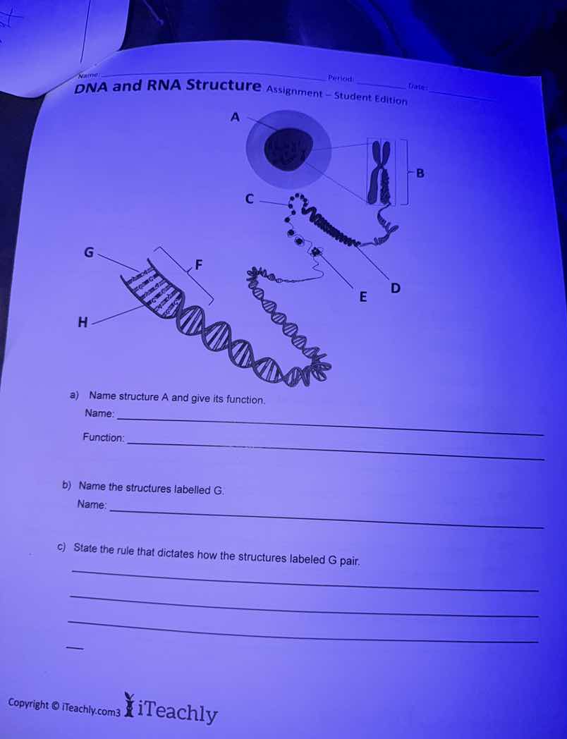 name:period:date:dna and rna structure assignment - student editiona) n…