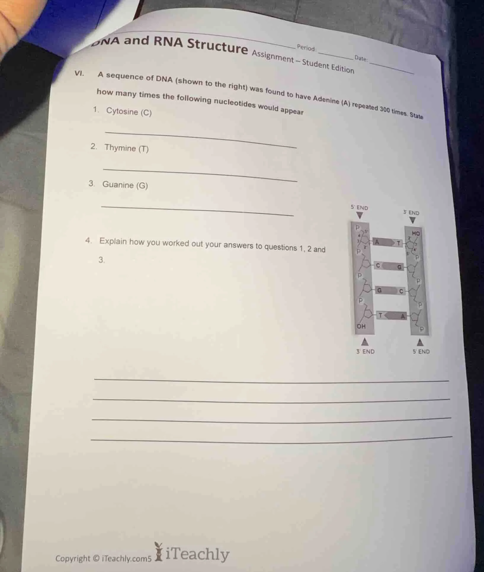 dna and rna structureperiod: __________ date: __________assignment – st…