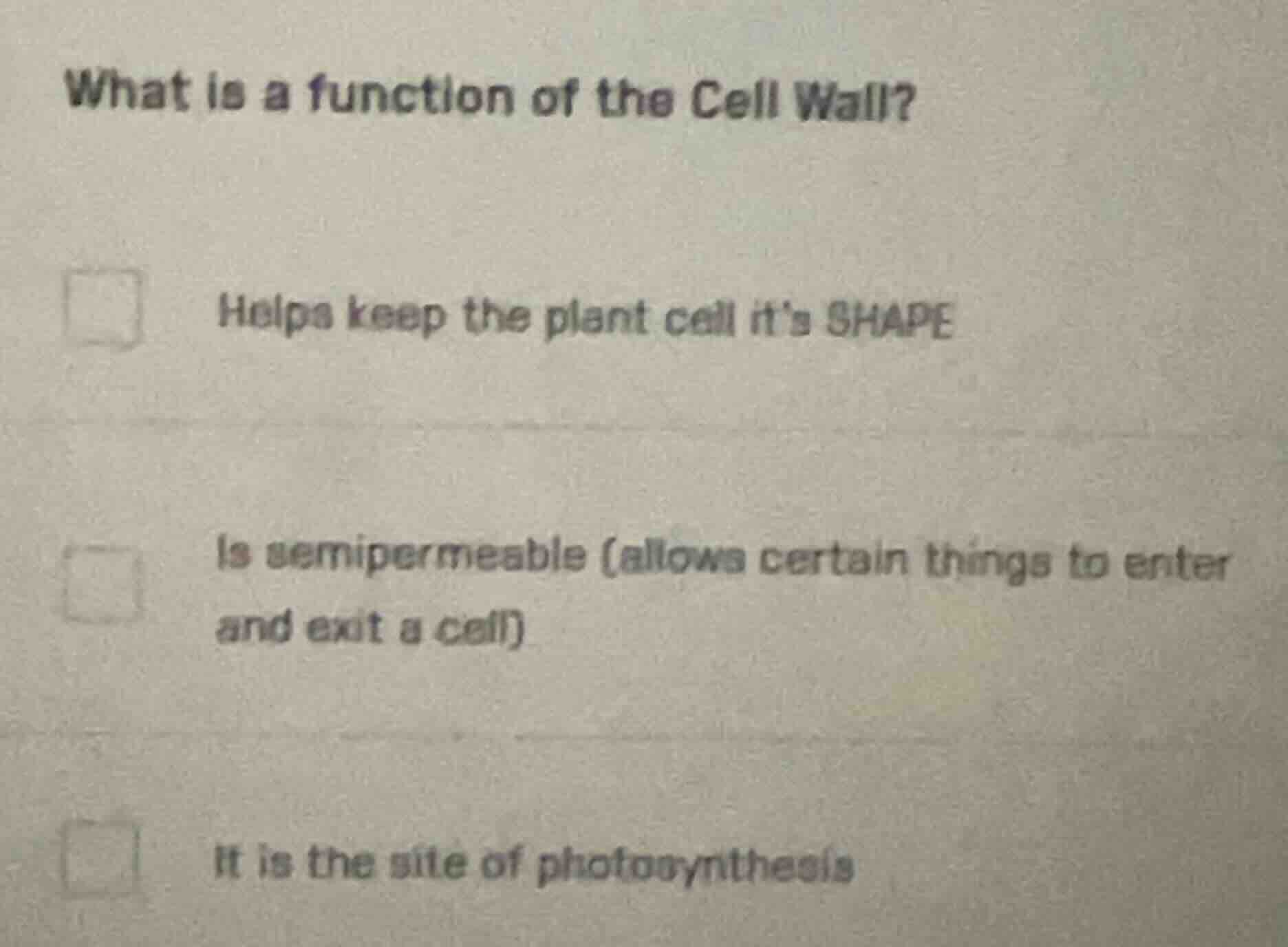 what is a function of the cell wall? helps keep the plant cell its shap…