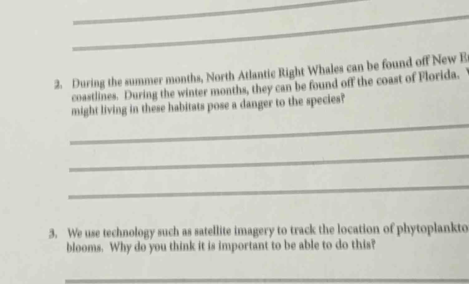 2. during the summer months, north atlantic right whales can be found o…