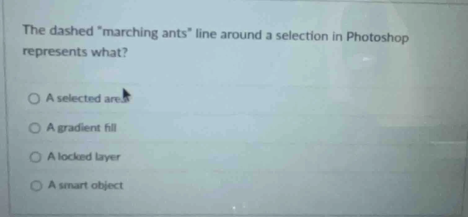 the dashed \marching ants\ line around a selection in photoshop represe…