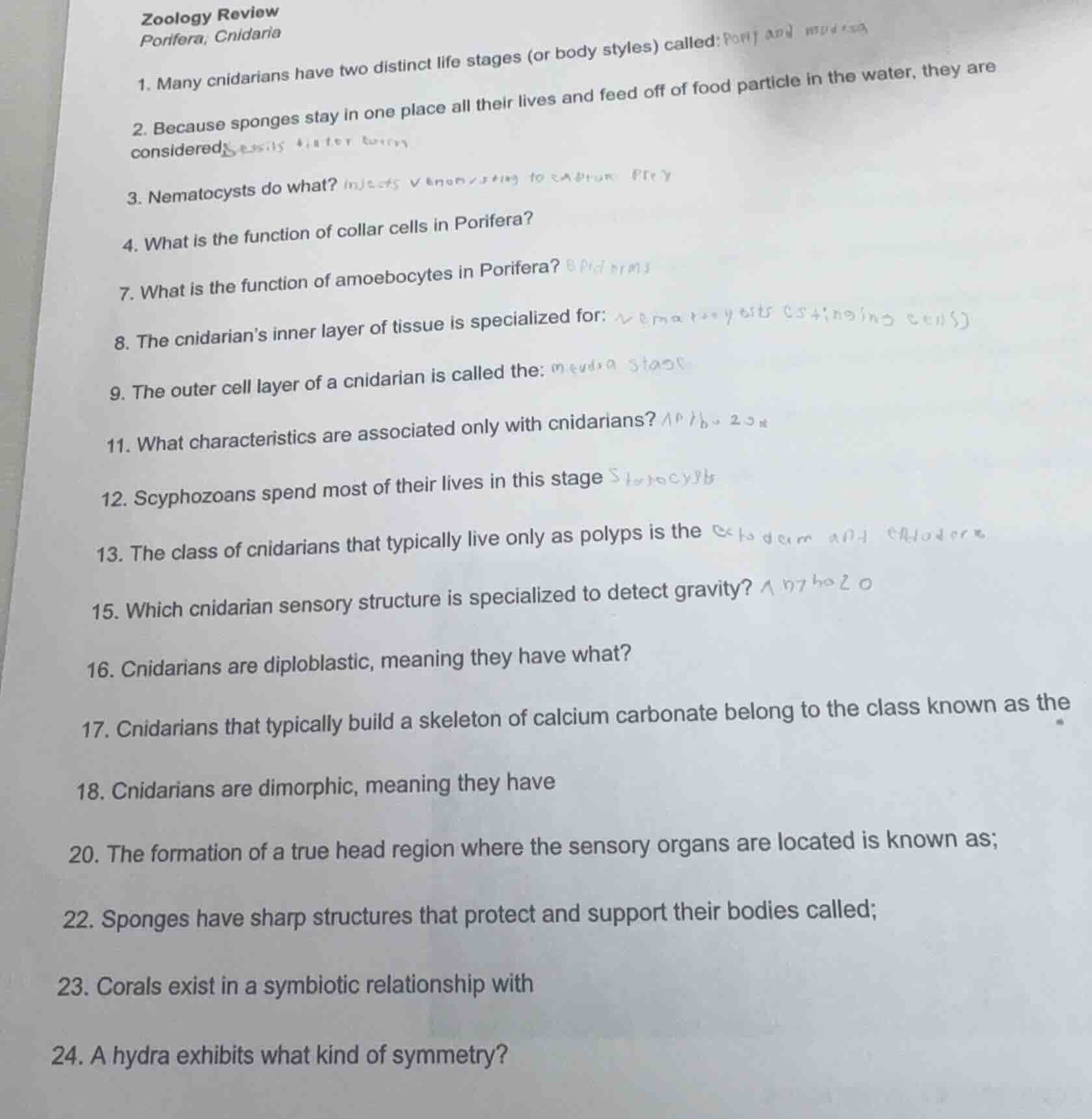 zoology reviewporifera, cnidaria1. many cnidarians have two distinct li…