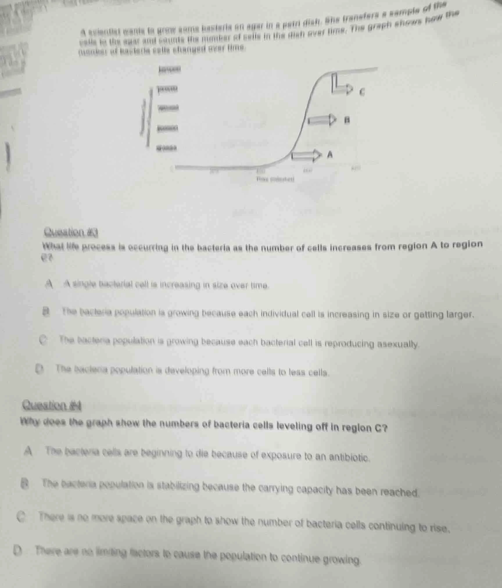 a scientist wants to grow some bacteria on agar in a petri dish. she tr…