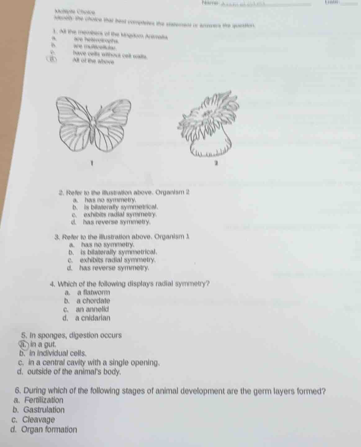 multiple choice directions: the choice that best completes the statemen…