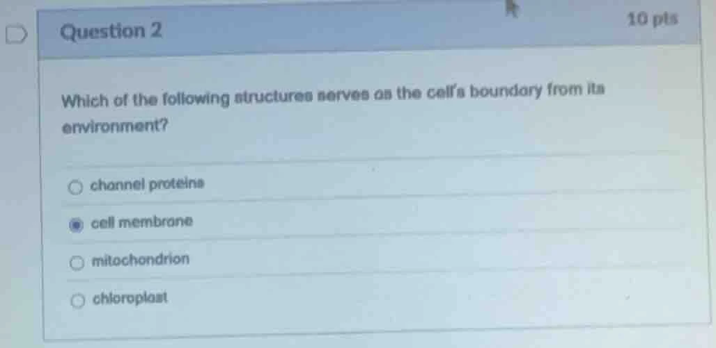 question 2 10 pts which of the following structures serves as the cells…