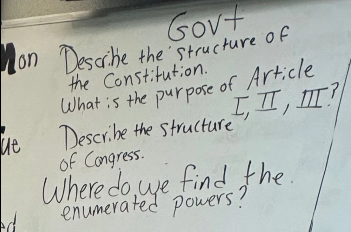 govt describe the structure of the constitution. what is the purpose of…
