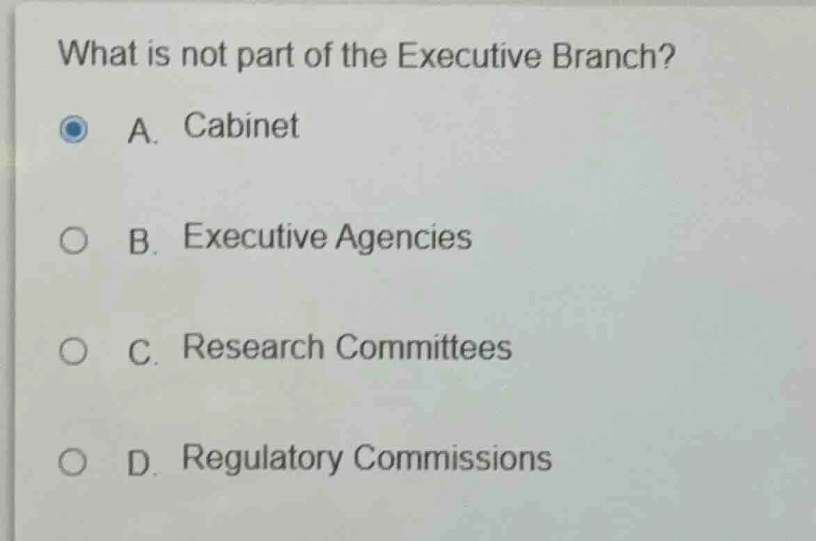 what is not part of the executive branch? a. cabinet b. executive agenc…